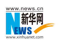 新华网股份有限公司